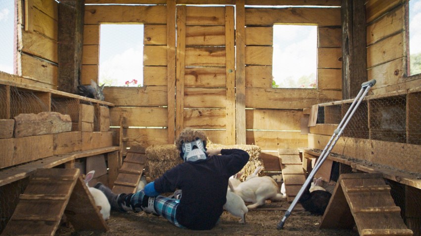 Father Son Holy Gore - The Hole in the Fence - Sitting Duck