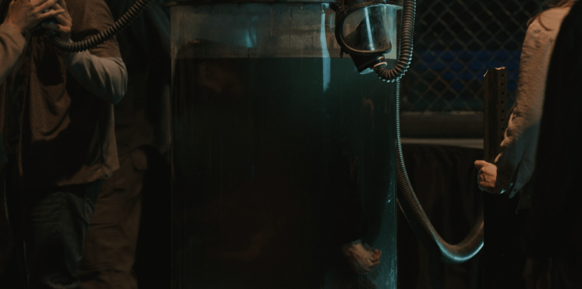 Father Son Holy Gore - The Walking Dead - Dead City - Alternative Energy