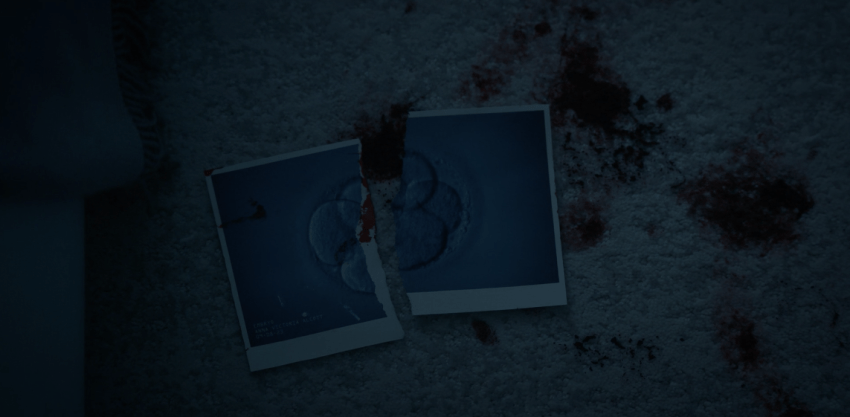 Father Son Holy Gore - American Horror Story - Delicate - Embryo Photo Torn