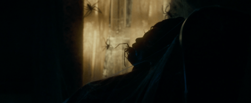 Father Son Holy Gore - Infested - Spider Carcass